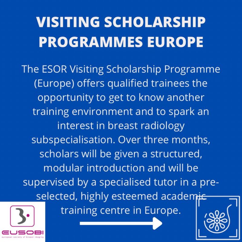 Image for the Tweet beginning: 🌍 ESOR Visiting Scholarship (Europe)
Short-term