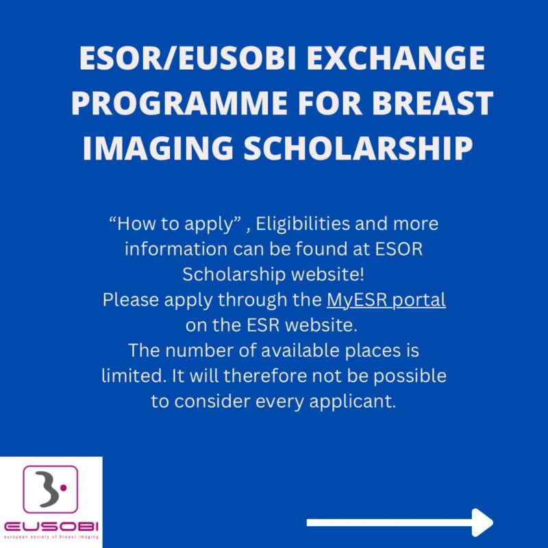 Image for the Tweet beginning: 🌍 ESOR Visiting Scholarship (Europe)
Short-term