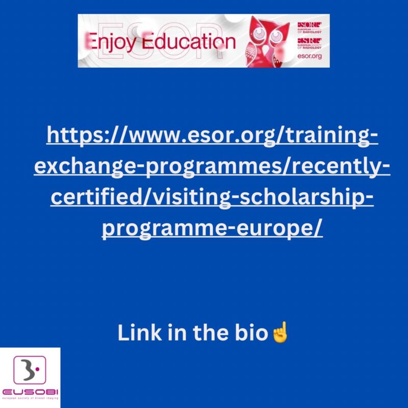 Image for the Tweet beginning: 🌍 ESOR Visiting Scholarship (Europe)
Short-term