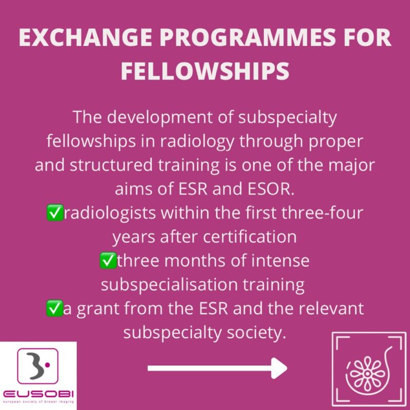 Image for the Tweet beginning: ✨ ESOR Fellowship Programme
Advance your